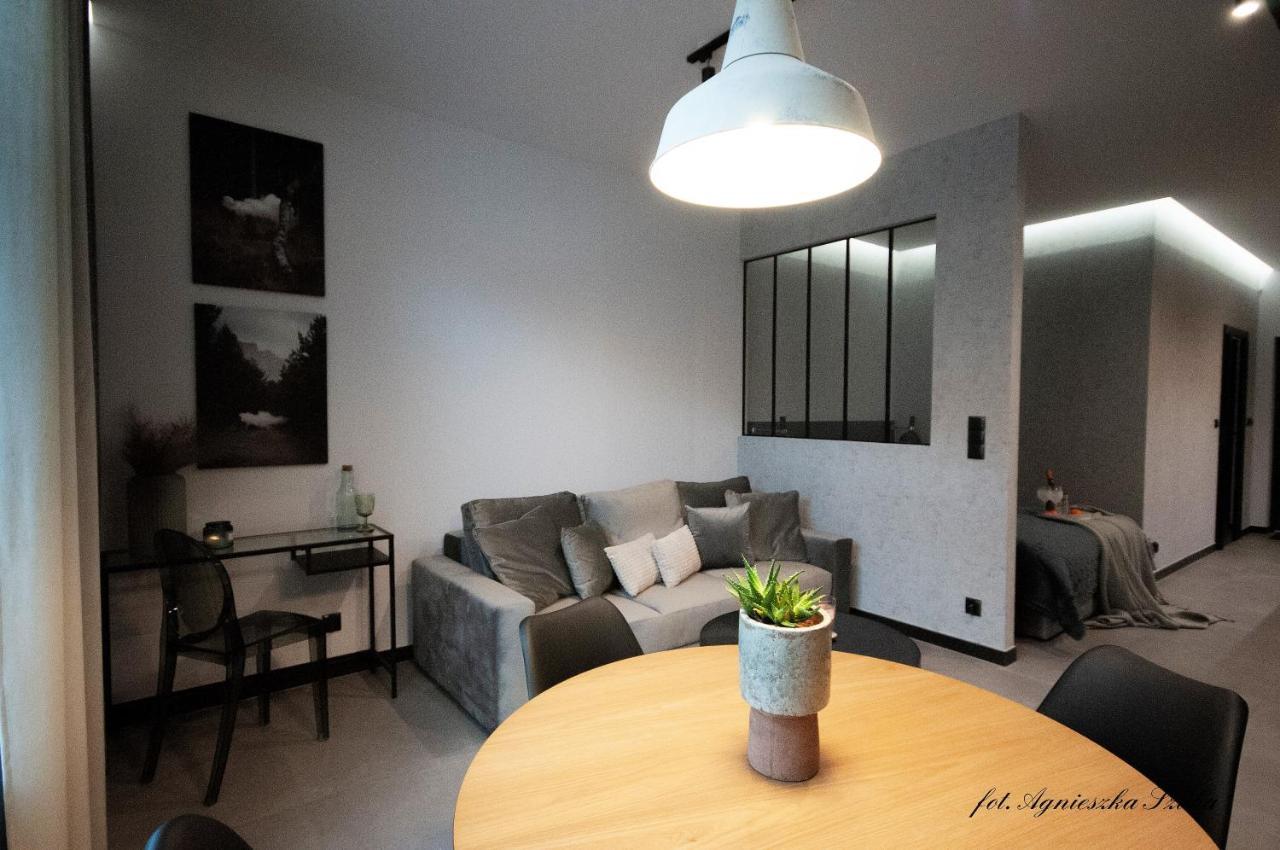 Grey Apartamenty Przy Skoczni & Ski Bus シュチルク エクステリア 写真